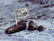 Klassieke Guerrilla Actie voor Hans Brinker Hotel, door KesselsKramer. Bron: http://www.deondernemer.nl/economie/150999/Wij-willen-ook-wel-zon-drol.html