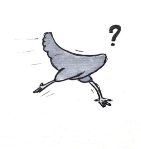 Bron: http://www.mobypicture.com/user/sugarnieuws/view/13772287